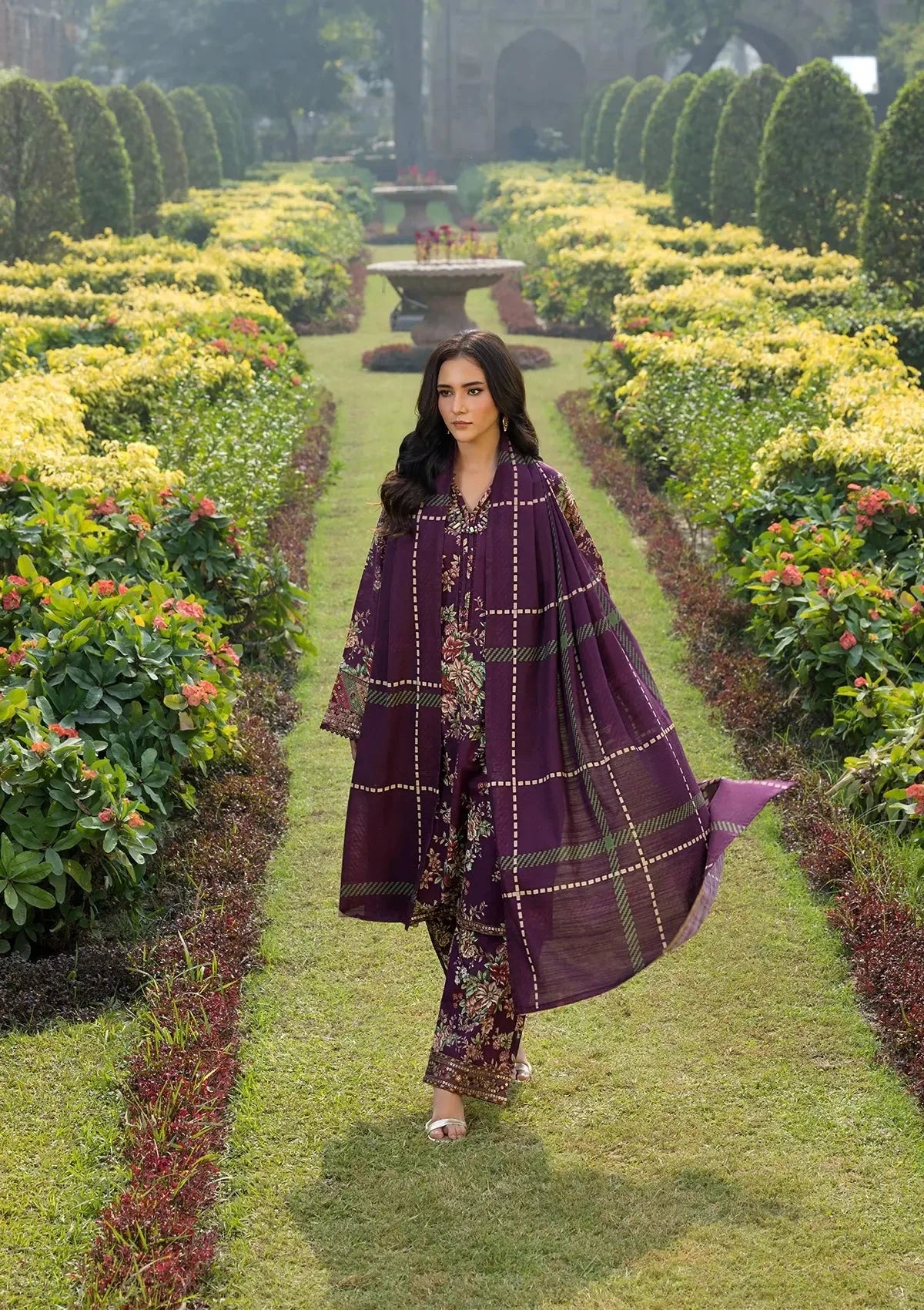 Royal Plum- Lawn