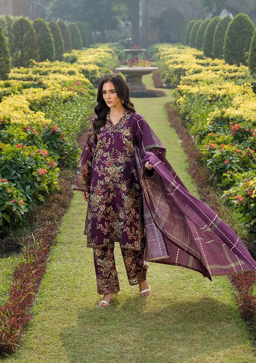 Royal Plum- Lawn