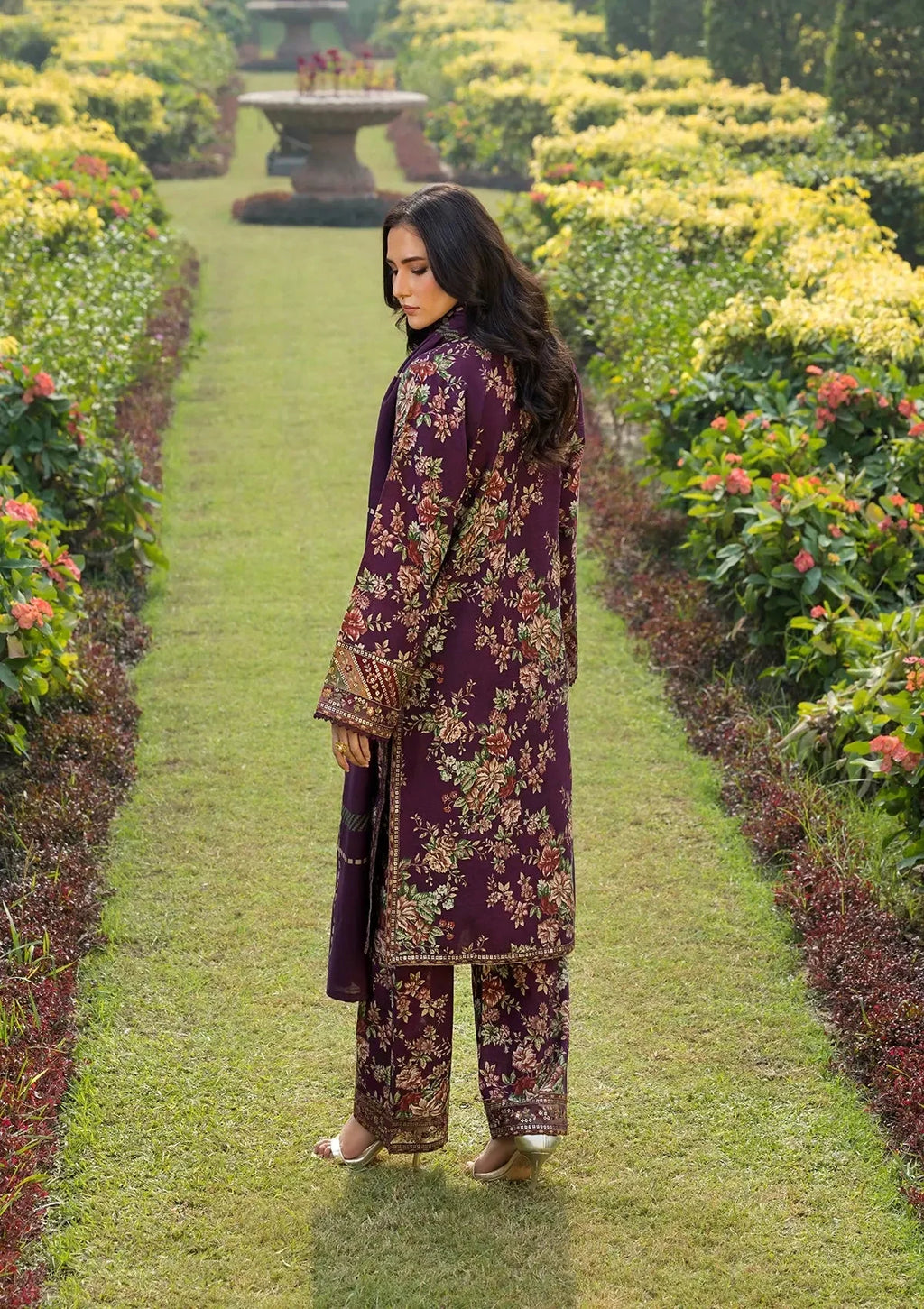 Royal Plum- Lawn