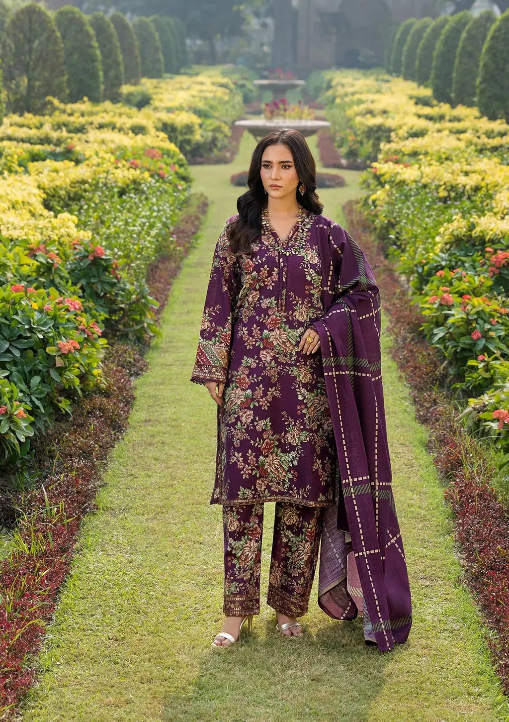 Royal Plum- Lawn