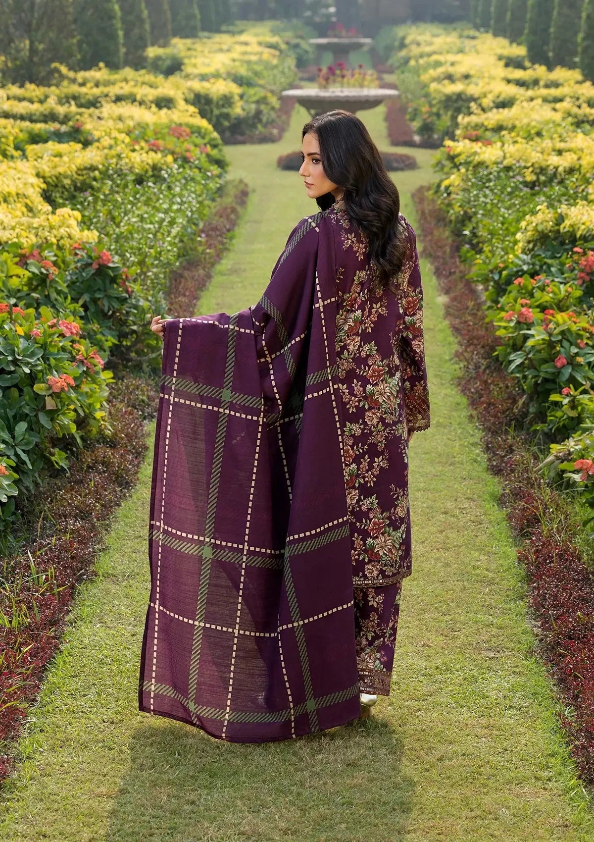 Royal Plum- Lawn