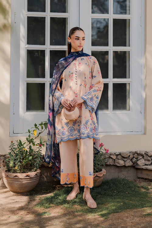 Blush Garden- grace in full bloom