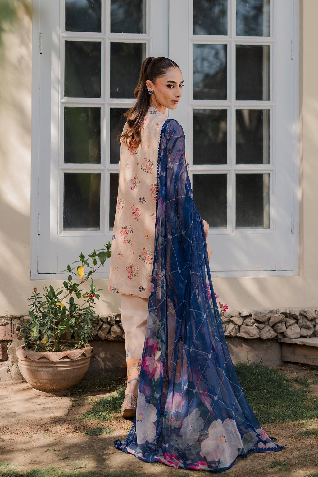 Blush Garden- grace in full bloom