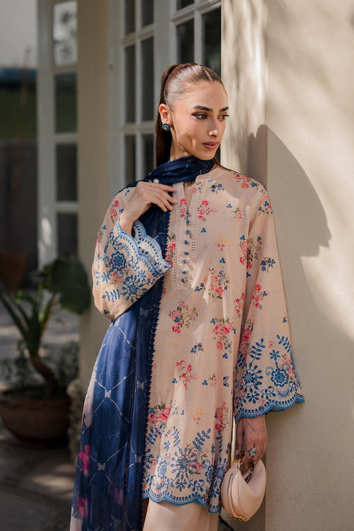 Blush Garden- grace in full bloom